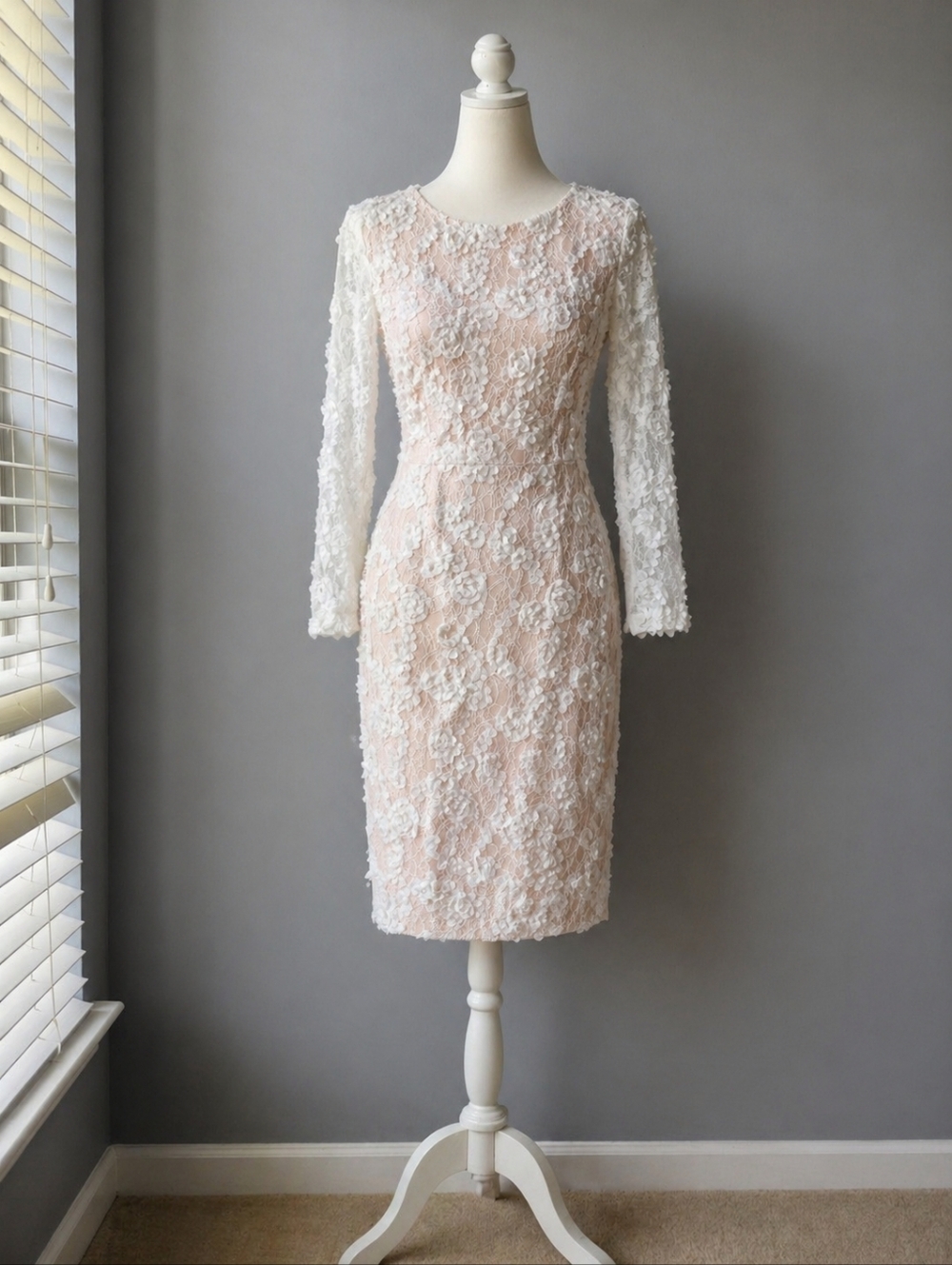 ✨ Elegant Lace Dress – Size 8 (XSscape)Stunning fitted lace dress by XSscape